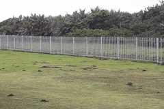 30x30x2mm 7-Spike Angle Palisade
