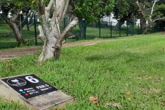 76x12x3/4mm-Vista-Mesh-IPE-Posts